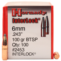 6MM .243 100 GR BTSP - HORNADY RIFLE PROJECTILES