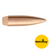 1628 .25 100gr Hollow Point Bo at Tail