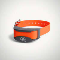 SportDog - SportTtrainer® EXTRA COLLAR FOR 450M OR 700M UNIT