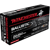 WINCHESTER - Ballistic ST 22-250Rem 55gr PT
