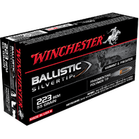 WINCHESTER - Ballistic ST 223Rem 55gr PT - 200 PACK