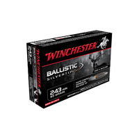 WINCHESTER - Ballistic ST 243W 95gr PT