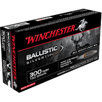 WINCHESTER - Ballistic ST 300WSM 150gr PT