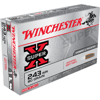 WINCHESTER - Super X 243Win 80gr PSP