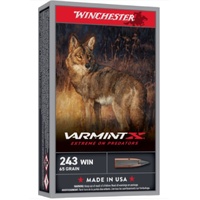 Winchester Varmint X 243Win 65gr PT