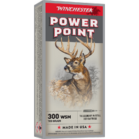 WINCHESTER - Super X 300WSM 180gr PP